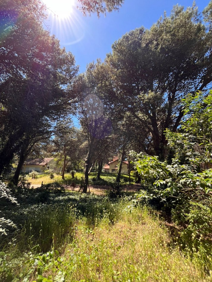 Venta LOTE en Valeria del Mar