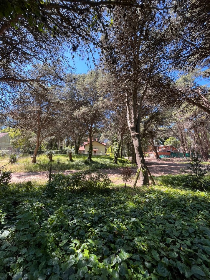 Venta LOTE en Valeria del Mar