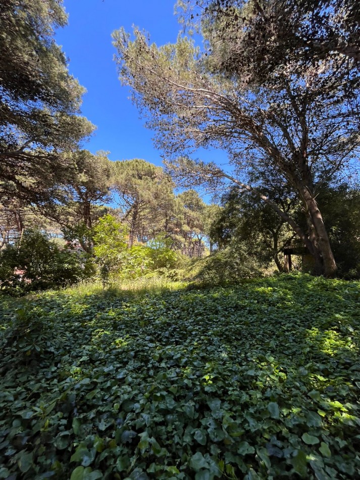 Venta LOTE en Valeria del Mar