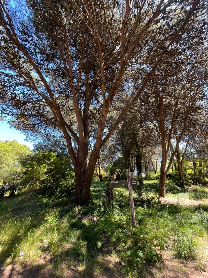 Venta LOTE en Valeria del Mar