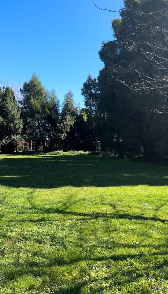 Lotes de Terrenos en venta en Madariaga