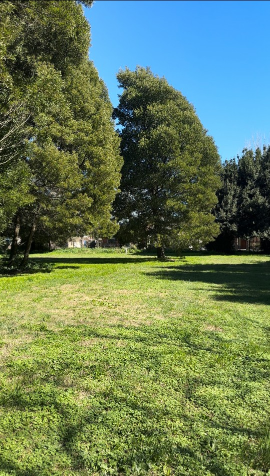 Lotes de Terrenos en venta en Madariaga