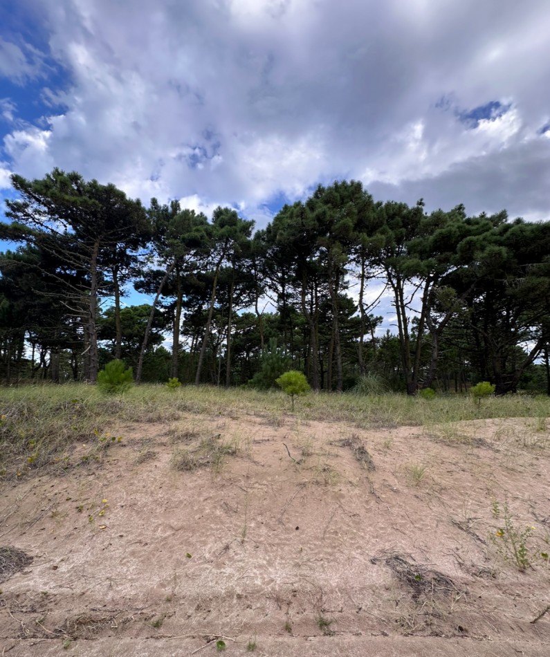 Lote en venta en bosques