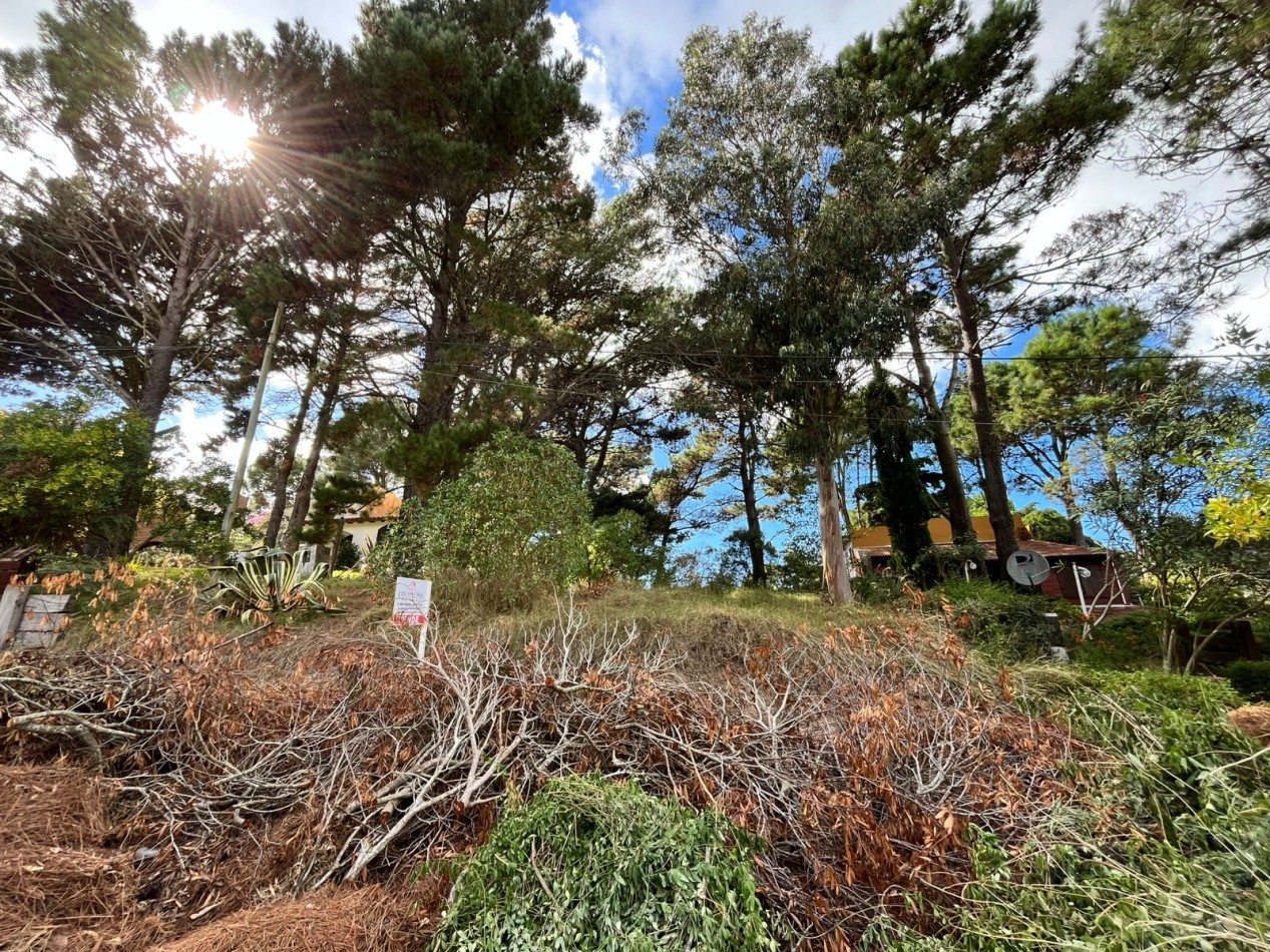 LOTE de excelente ubicacion sobre Bathurst