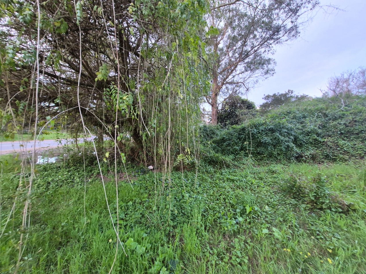 Venta de Lote/Terreno en Valeria del Mar-Pinamar
