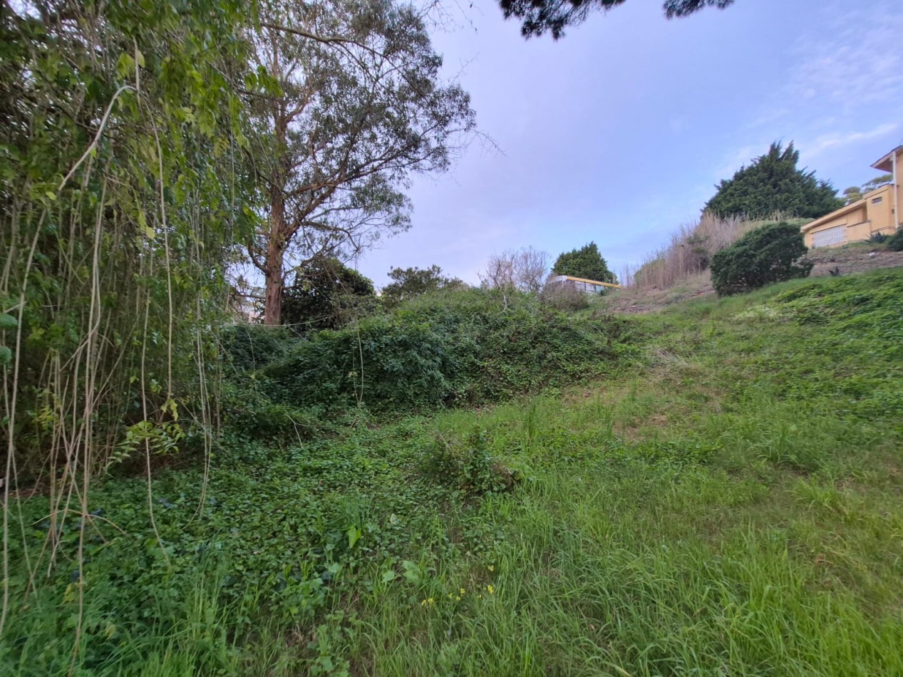 Venta de Lote/Terreno en Valeria del Mar-Pinamar