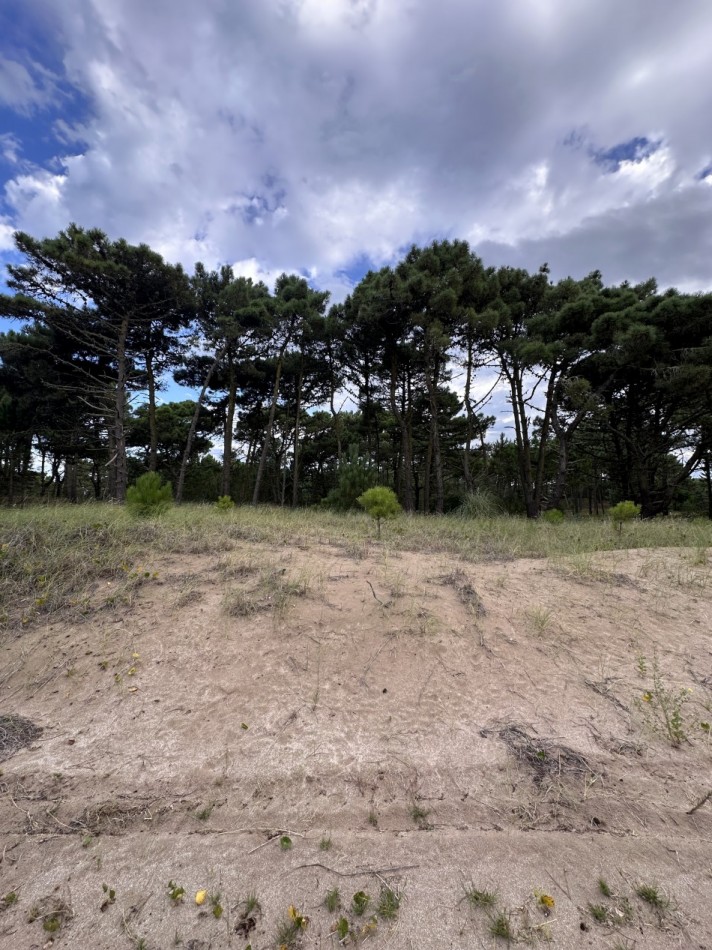 Lote en venta en bosques