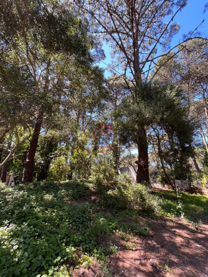 EN VENTA LOTE VALERIA DEL MAR CALLE TUYU