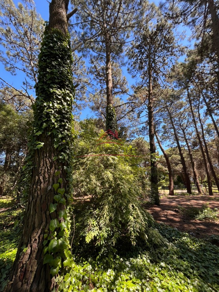 EN VENTA LOTE VALERIA DEL MAR CALLE TUYU