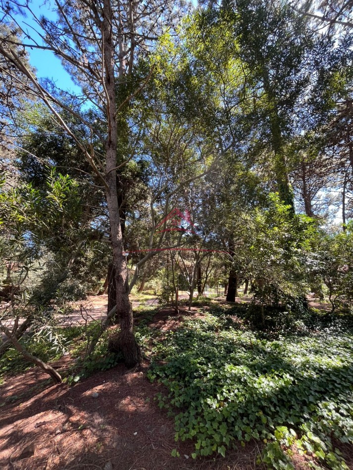 EN VENTA LOTE VALERIA DEL MAR CALLE TUYU