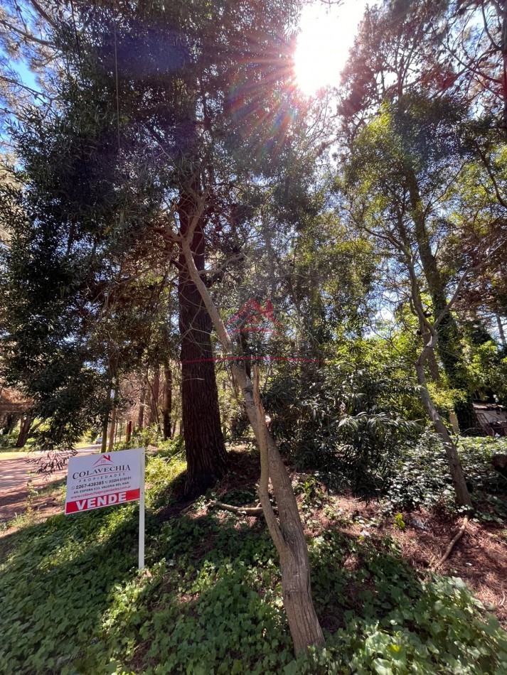 EN VENTA LOTE VALERIA DEL MAR CALLE TUYU