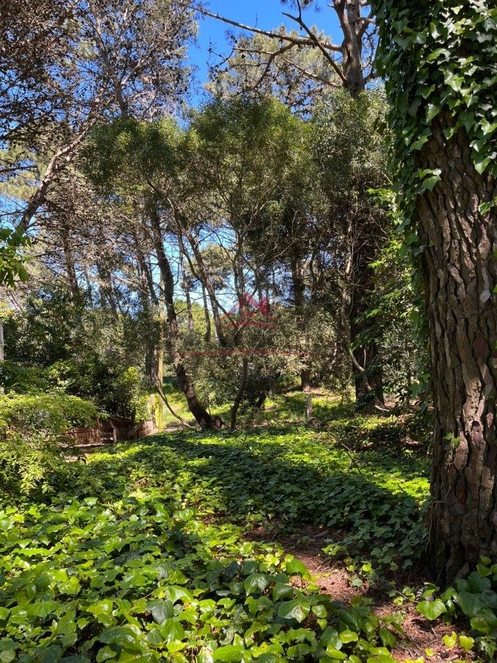 EN VENTA LOTE VALERIA DEL MAR CALLE TUYU