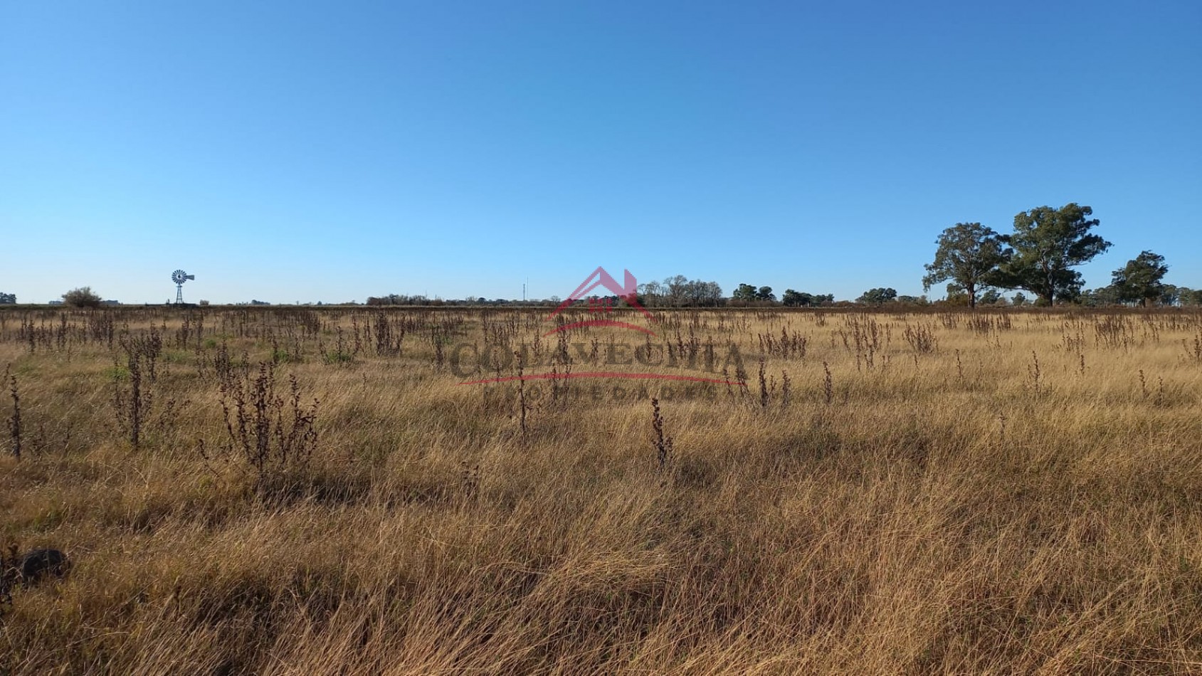 Venta de Campo-Chacra 12,5 Hectareas en Gral.Guido ACEPTA FIANCIACION