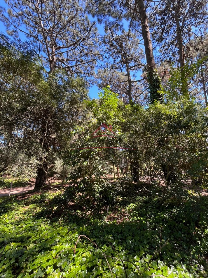 EN VENTA LOTE VALERIA DEL MAR CALLE TUYU