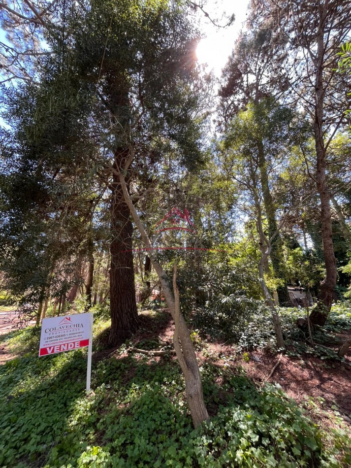 EN VENTA LOTE VALERIA DEL MAR CALLE TUYU