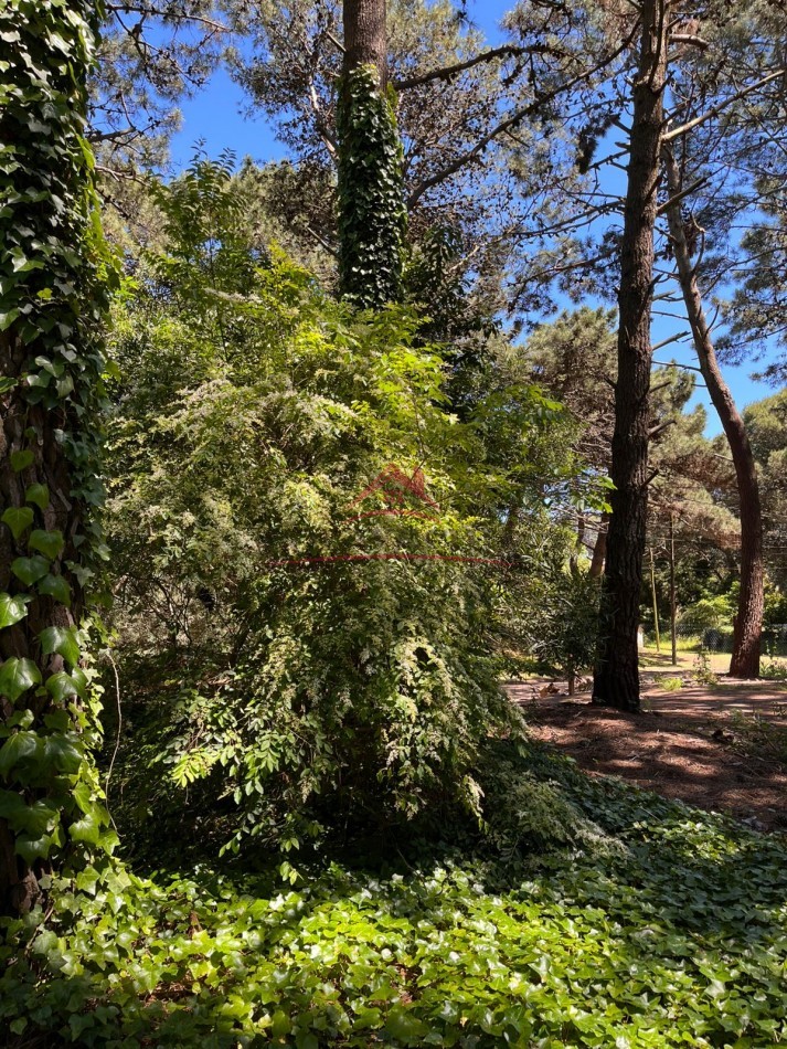 EN VENTA LOTE VALERIA DEL MAR CALLE TUYU