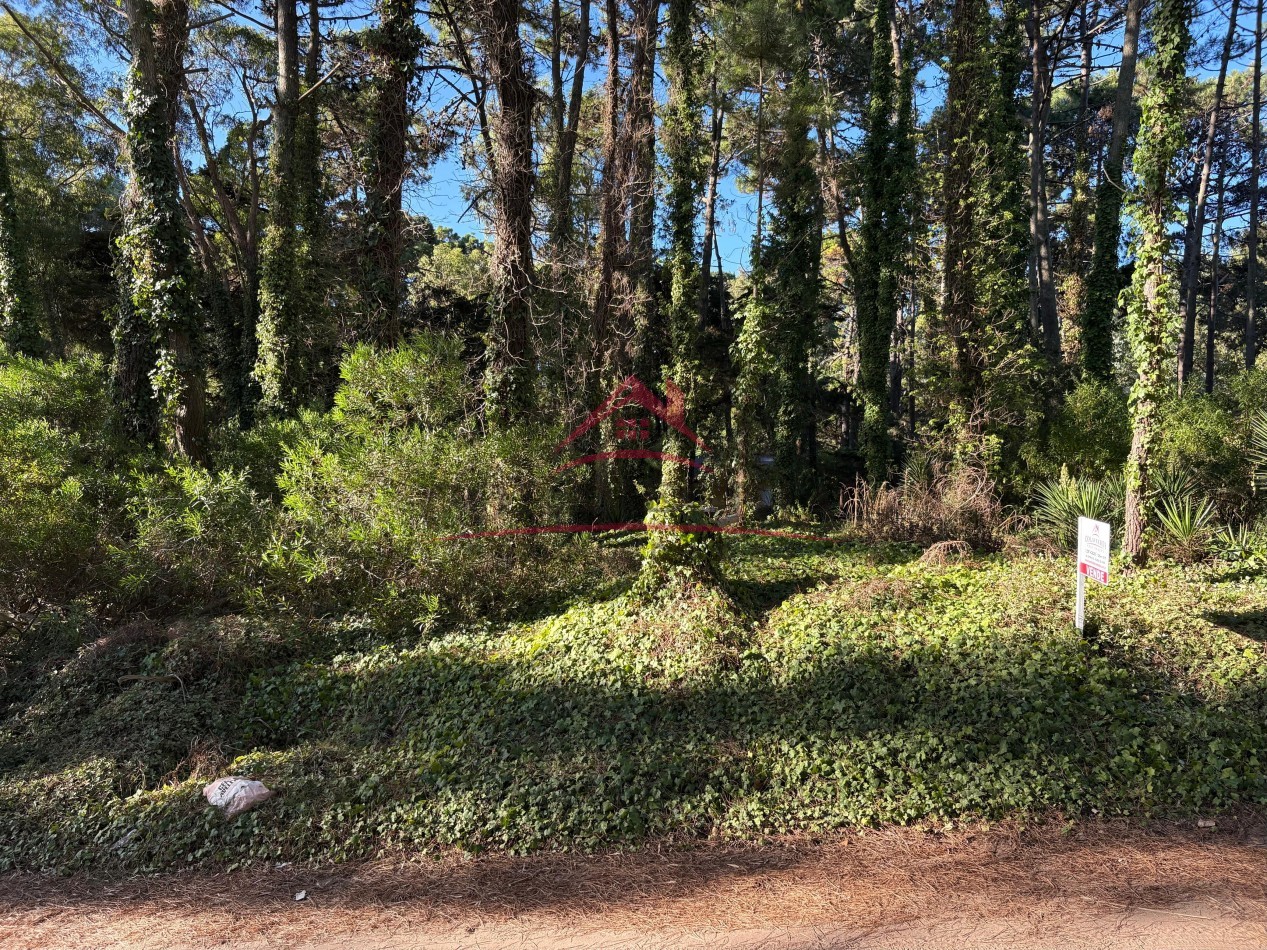 EN VENTA DOS LOTES - EL CANO VALERIA DEL MAR