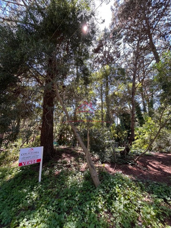 EN VENTA LOTE VALERIA DEL MAR CALLE TUYU