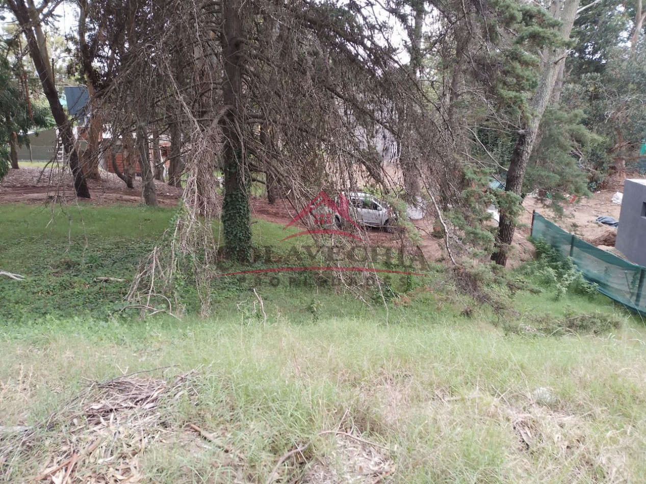 2 Lotes en oportunidad Colon casi esq. Arcachon - 542 m2 y 429 m2.