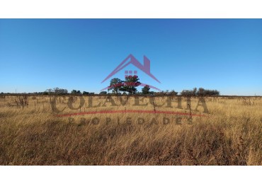 Venta de Campo-Chacra 12,5 Hectareas en Gral.Guido ACEPTA FIANCIACION 